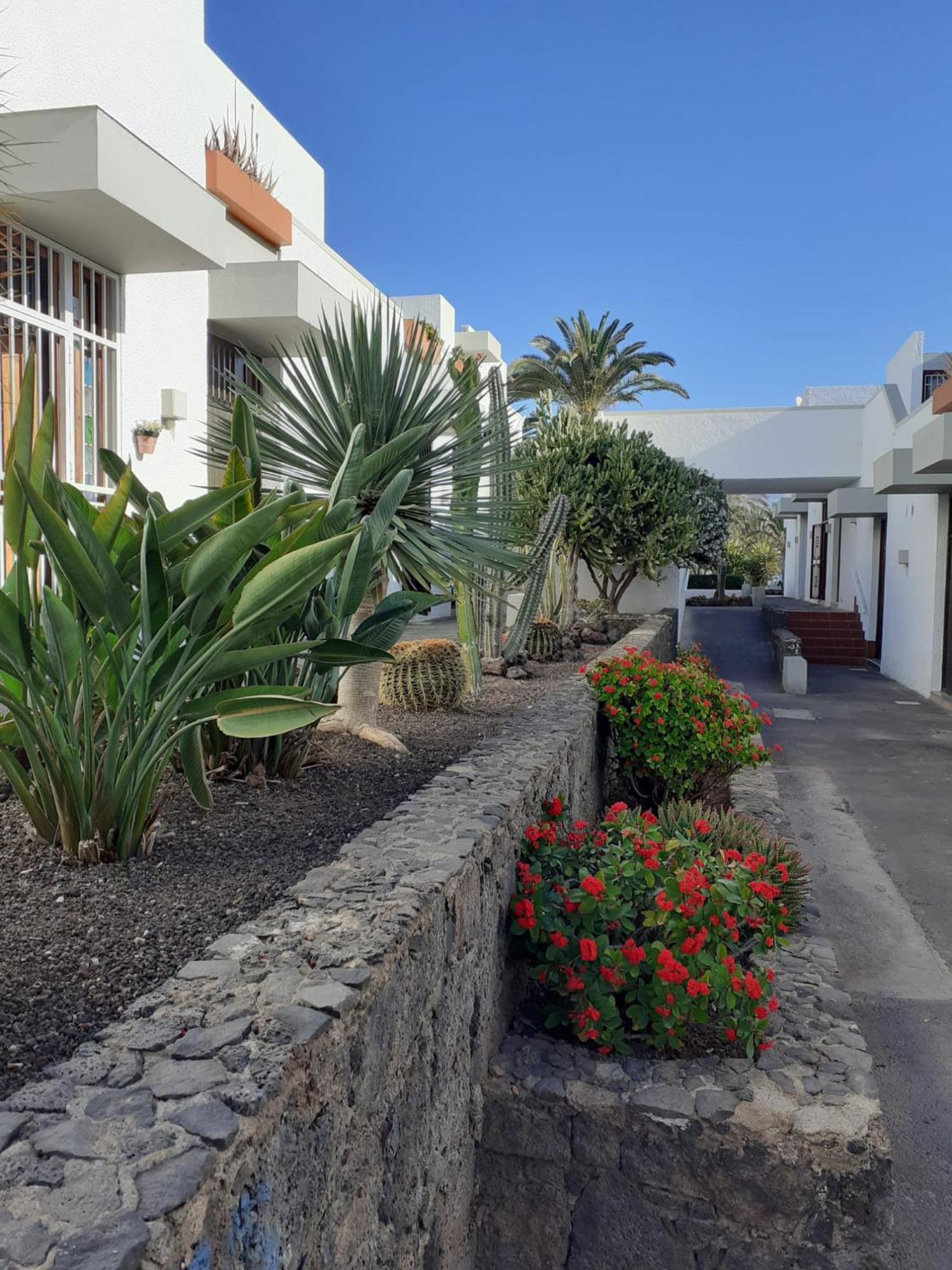 Precioso Apartamento Costa Del Silencio Exterior foto