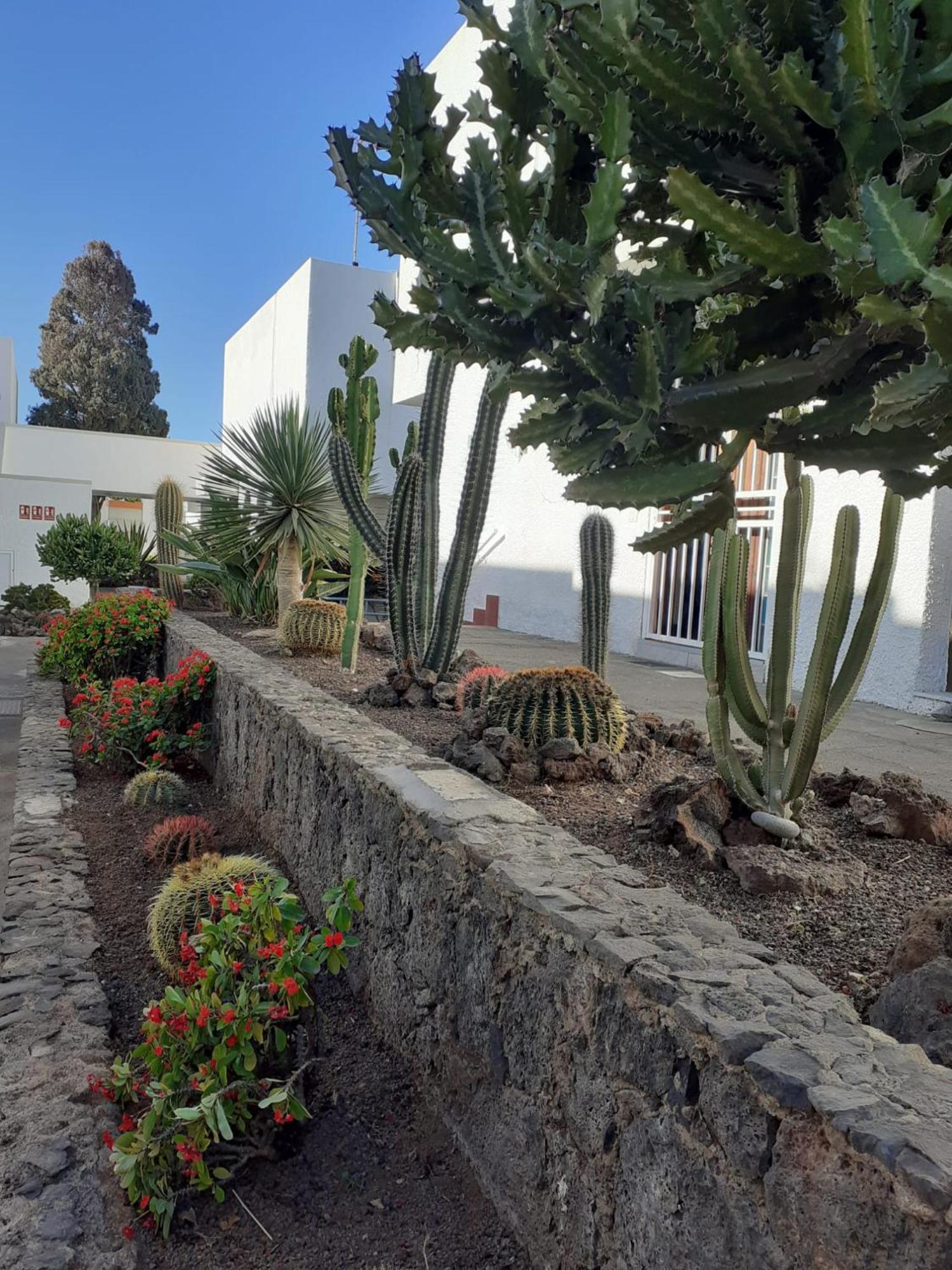 Precioso Apartamento Costa Del Silencio Exterior foto
